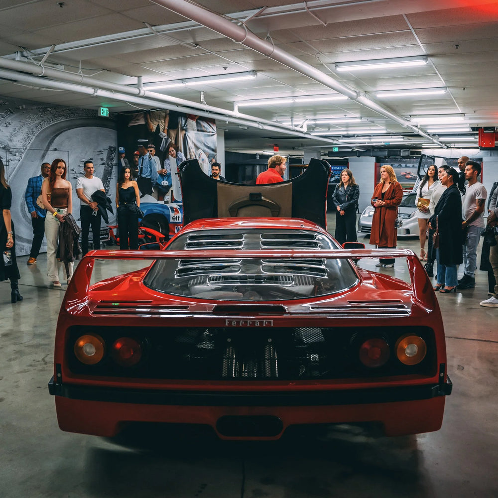 VIP TOUR